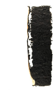 Combustione n. 4