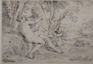Venere e Adone